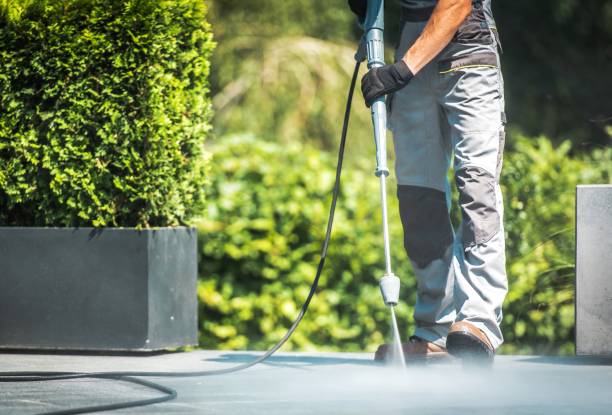 Best House Exterior Washing  in West Branch, MI