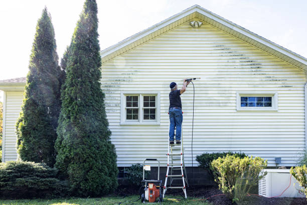 Best Soft Washing  in West Branch, MI